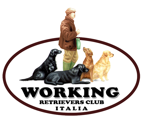 working retrievers club italia